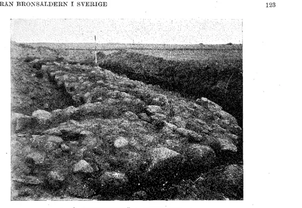 FIG.  2.  ETT  BLOTTAT  HÖRN  AV  TOMTEN  FIG.  1. 