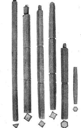 FIG.  34~3D.  RUNKALENDRAR.  FIG.  34,  3'5.  PAANA- PAANA-.JÄRVI,  ÖSTERBOTTEN.  FlG