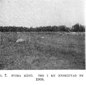 FIG.  6.  STORA  RÅGÖ,  1908.  (MÄRK  DEN  FRI- FIG.  7.  STORA  RÅGÖ.  TEG  I  EN  EN SKIFTAD  BY 