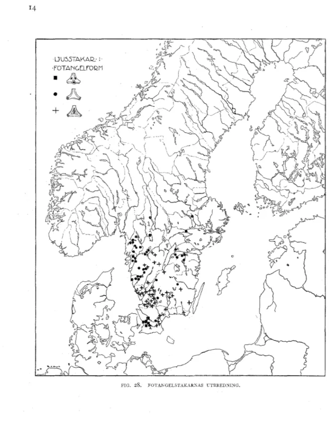 FIG.  28.  FOTANGELSTAKAR:'IAS  UTBREDN ING. 