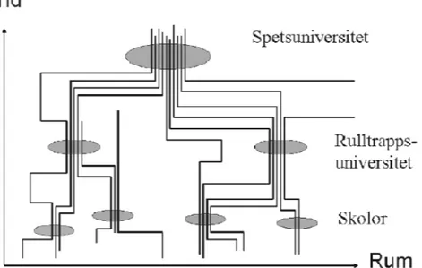 Figur 5. Miljöer (stationer) där levnadsbanor strålar samman.