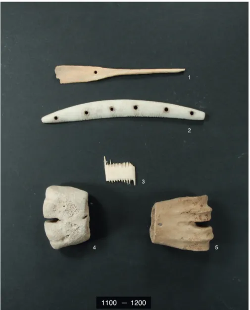 Fig. 4. Artefacts collected at Skanör dating from 1100 to 1200. (1) Needle of bird bone  showing a circular hole on the broader side (11.1x1.5 cm)