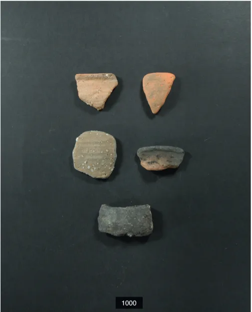 Fig. 7. Ceramics made of clay from the 11th century. Old black pottery. Skanör. From  upper left: 3.6x3.2, 2.7x3.6, 3.9x3.9, 4.1x2.1, 4.4x2.4 cm