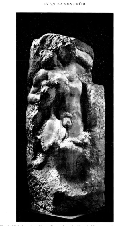 Fig.  2.  Michelangelo:  »Slav»  (Den  vaknande  jätten).  Marmor  omkring  1519. 