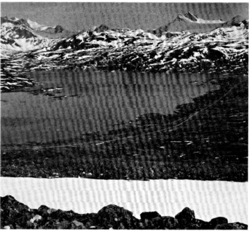 Fig.  3.  Tyin  ved  inngangen  til  Jotunheimen.  Langs  stranden  til  h0yre  på bildet  er  lokalisert  en  rekke  boplasser  fra  «skifer-jegerne»