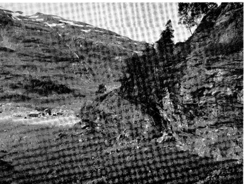Fig.  4.  Ullshelleren  i  R0ldal,  Hordaland.  Helleren  har  vmrt  bebodd  bl. a.  ved  steinalderens  slutrningstid  og  i  brornsealder