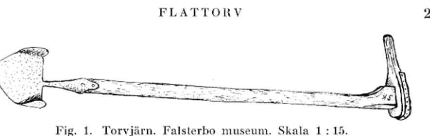 Fig.  1.  Torvjärn.  Falsterbo  museum.  Skala  1 : 15. 