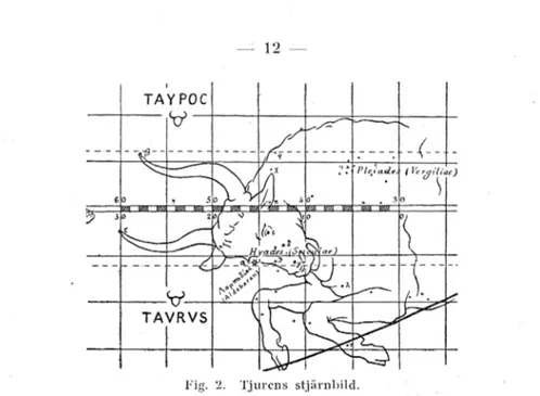 Fig.  2.  Tjurens  stjärnbild. 