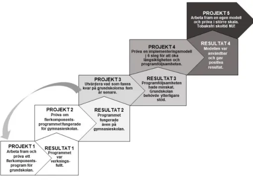 Figur 1. Program utifrån projekt och utvärderingar.