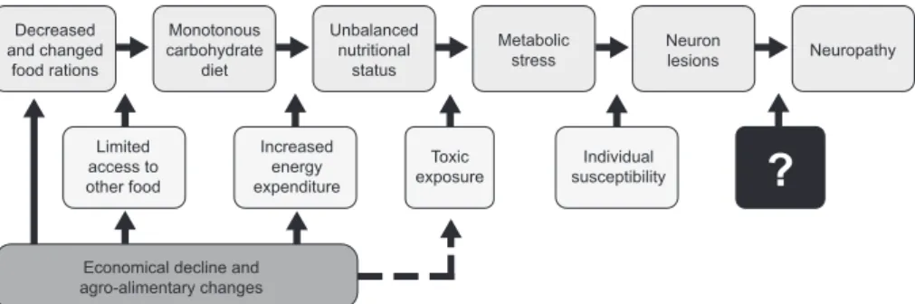 Figure 4. A conceptual framework for the main, contributing and basic factors of the toxico- toxico-nutritional hypothesis regarding the etiology of epidemic neuropathy in Cuba in 1993.