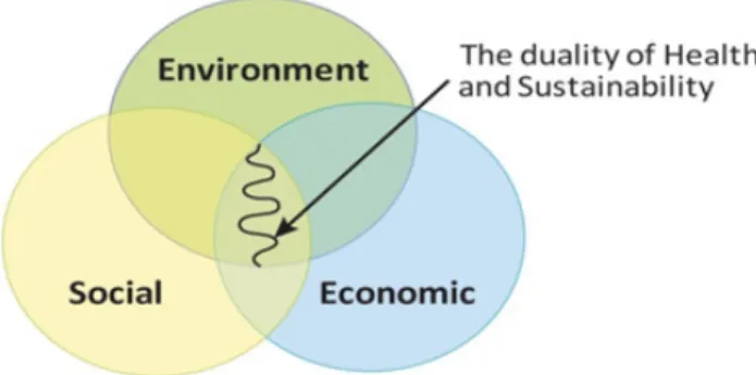 Figur 3: Dualitetsmodell av hälsa och hållbarhet (Kjærgård m. fl., 2014).