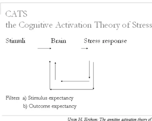 Figur 1: CATS-modellen som illustrerar hur samma stressor får olika betydelse beroende på  individens erfarenheter, dels av stressorn men också av sin förmåga att hantera den.