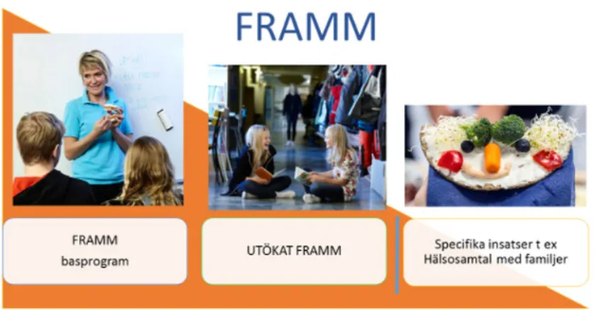 Figur 3. FRAMM – Fluor Råd Arena Mat Motivation – med en bred bas som når alla och  med ytterligare insatser för grupper som behöver extra stöd
