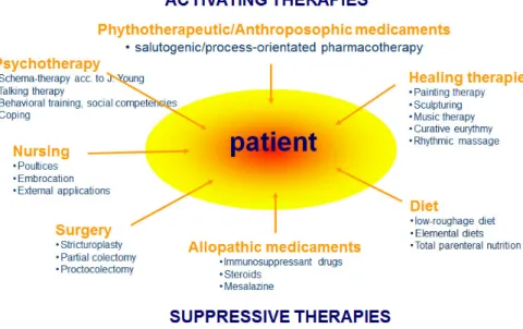 Figur 1: Terapikoncept för behandling av kronisk inflammatorisk tarmsjukdom inom AM. Pa- Pa-tienten i centrum av det interprofessionella behandlings teamet