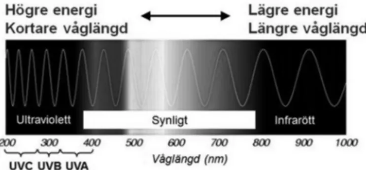 Figur 1. Ultraviolett strålning i det optiska våglängdsspektrumet. 
