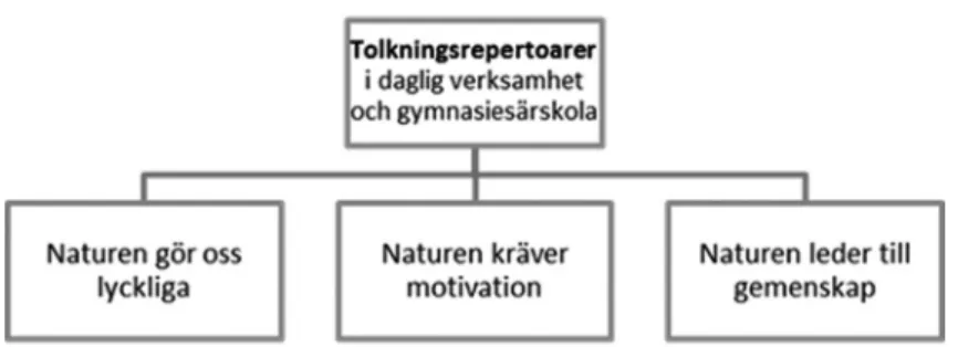 Figur 2. Tolkningsrepertoarer i daglig verksamhet och gymnasiesärskola (Niemi 2012).