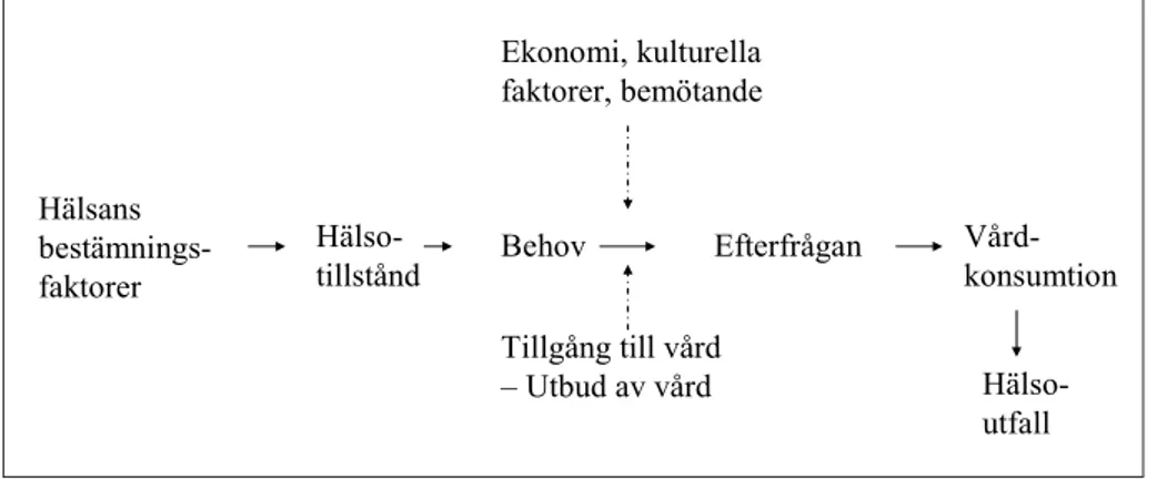 Figur 1 visar en schematisk represen- represen-tation  av  vissa  steg  som  föregår  och  inkluderar  vårdkonsumtion