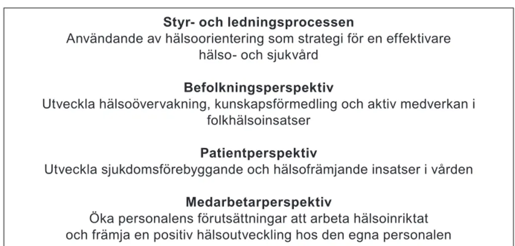 Figur 1. Modell över de fyra nivåerna av utvecklingsområden som karaktäriserar en mer hälso- hälso-främjande hälso- och sjukvård.