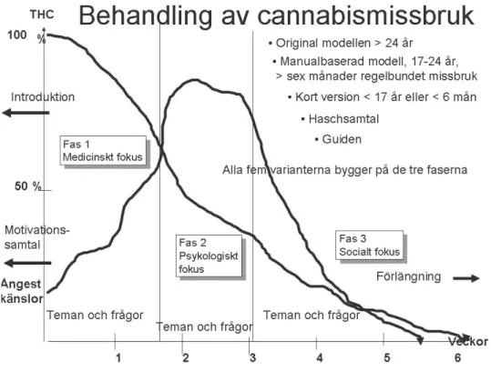 Figur 1. Schematisk bild som sammanfattar metoden och dess tre faser.