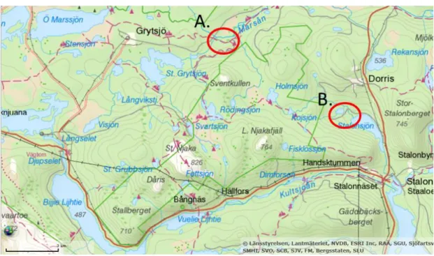 Figur 1. Översiktskarta över restaurerade sträckor i Marsån (A) och Stalonbäcken (B) säsongen 2016