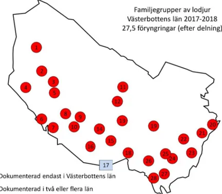 Figur 1. Resultat av lodjursinventeringen i Västerbottens län år 2017–2018. De röda  cirklarna visar föryngringar som enbart dokumenterats i Västerbottens län, de blå  rektanglarna visar föryngringar som dokumenterats i två eller flera län, i det här falle