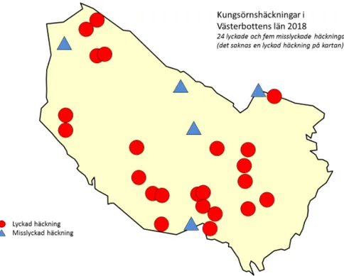 Figur 5. Lyckade (röda cirklar) och misslyckade (blå trianglar) häckningar av kungsörn i  Västerbottens län under 2018