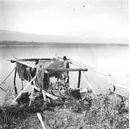 Foto Ossian Olofsson 1930. Lövberg  Vilhelmina.  Noten hängs på tork på  ställning ute i vattnet under vilken  båten ligger