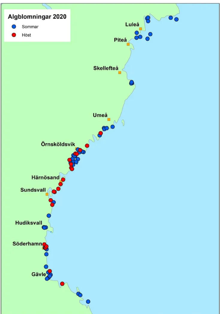 Figur 1. Översikt över årets kustnära algblomningar (2020).  