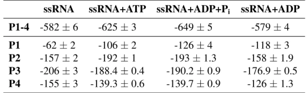 Table 2.1: Nonbonding interaction energies between RNA phosphate groups (named P1 through P4) and all protein residues