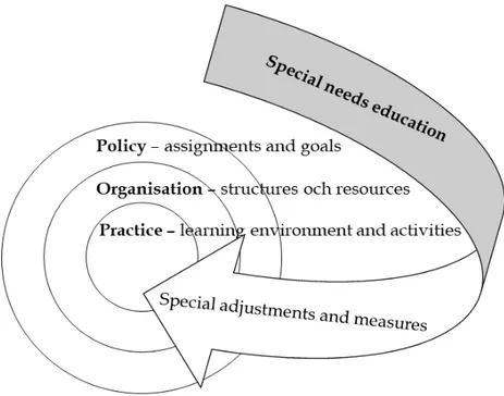 Figure 1. Three levels of special needs education in VET. 