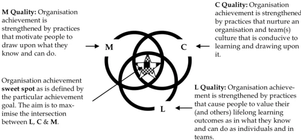Figure 4. LCM Achievement Model © (Hughes, 2007). 
