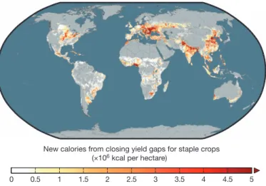 Figure 3 | Closing global yield gaps. Many agricultural lands do not attain their full yield potential