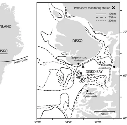 Fig. 1 Location of sampling site in Disko Bay on the west coast of Greenland