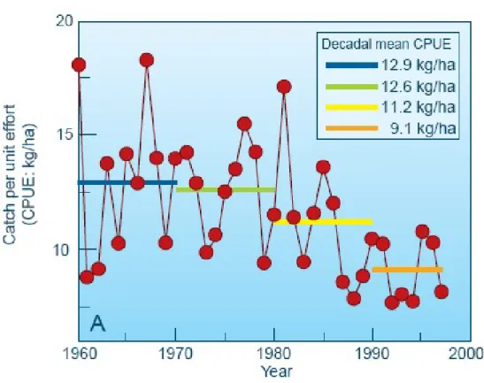 Figure 1. The graph shows annual changes of CPUE (catch per unit effort) for brown shrimp in areas  of the Gulf of Mexico
