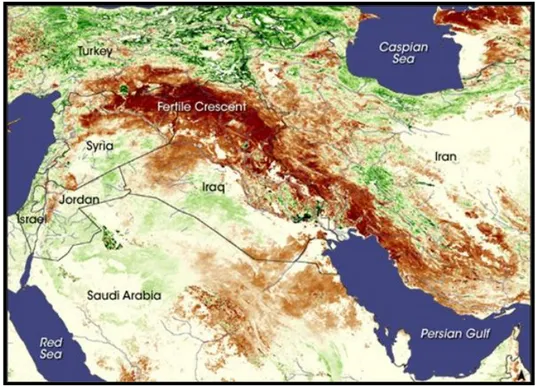 Figure 3: The so-called &#34;Fertile Crescent&#34; in a NASA image   