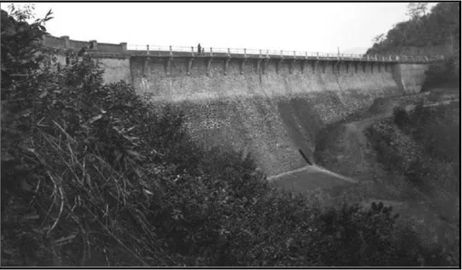 Fig ure 8: Downstream face of Sella Zerbino secondary dam 