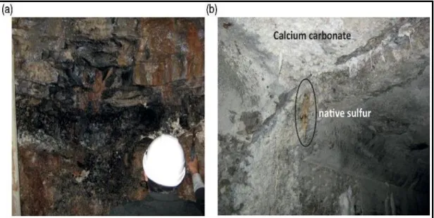 Figure 14: a) Lignite horizons in rock present in the abutment at gallery 22 m  level