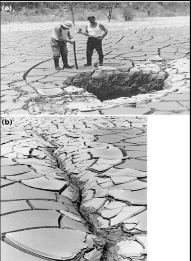 Figure 11: Photograph of two different shapes of covered collapse sinkholes  at the bottom of the Boljunčica reservoir