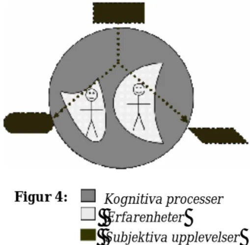Figur 4:     Kognitiva processer 