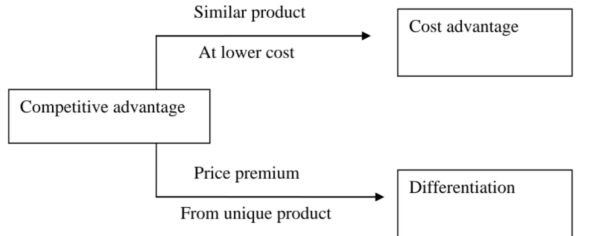 Figure 4: Sources of Competitive Advantage 