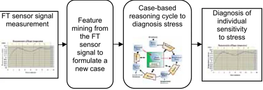 Figure 10.  Schematic diagram of the steps in stress diagnosis.