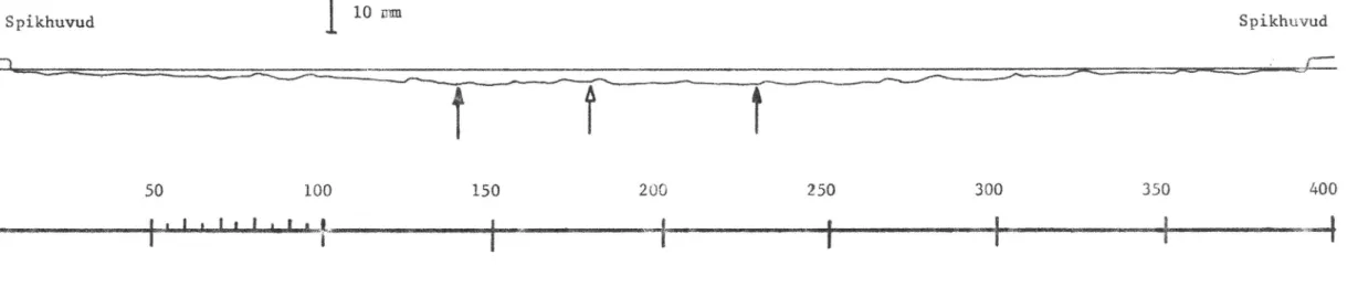 Fig.  8.  Slitageprofil upptagen med skrivande profilometer.  De  fyllda pilarna  visar dubbspåren och  den  öppna visar en &#34;rygg&#34; mellan dubbspåren.