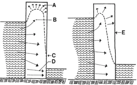 Figur 6: Betong med högt vct   Betong med lågt vct. (Johansson J. 2006) 