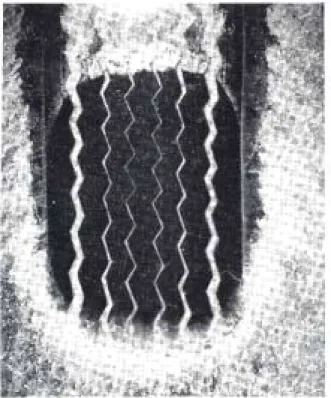 Figur 5 Kontaktbild av ett personbilsdäck som rullar över en glasskiva täckt  med ett 1 mm tjockt vattenlager, från French (1989).