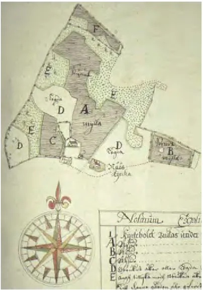 Figur 3  Exempel på storskalig karta. Karta över Kyrkbordets by i Näs socken,  Jämtlands län (LSA: V1:101)