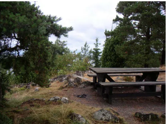 Figur 5  En av flera rastplatser utmed Turistvägen Gränna–Ödeshög–Rök. Vegetationen  skymmer utsikten kraftigt