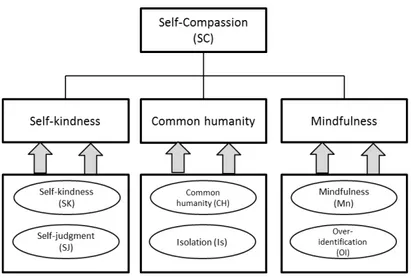 Figure 1. The structure of SC. 