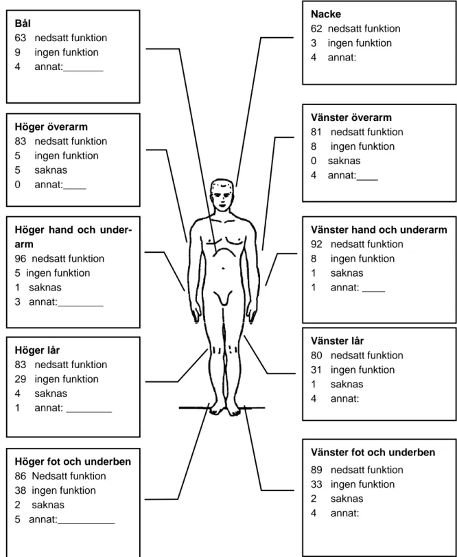 Figur 6  Beskrivning av de svarandes rörelsehinder samt dess omfattning. 