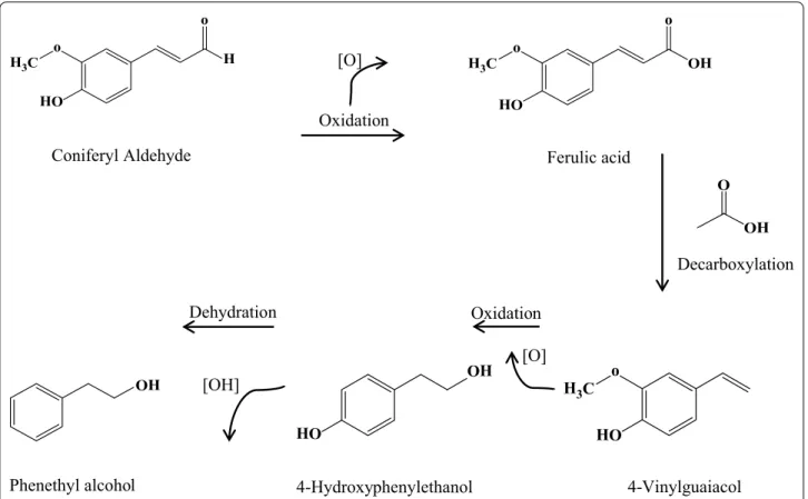 Fig. 4  A suggested conversion pattern in the detoxification of coniferyl aldehyde to phenyl ethyl alcohol, based on extracellular metabolites identi- identi-fied in the time evolution data presented in Table 2