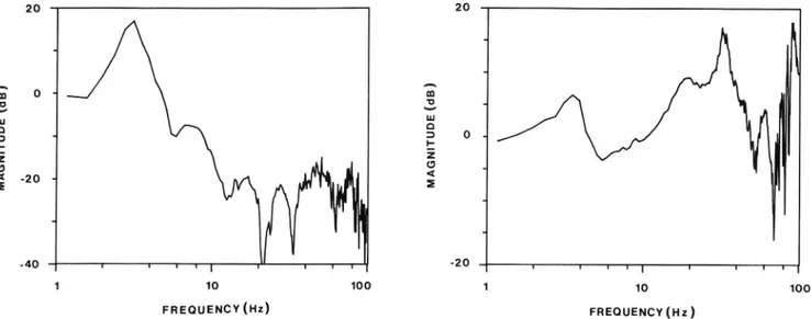 FIG. 7. Typical transfer function between vertical (left) and horizontal (right) vibrations measured on the table and in the bed between the shoulder blades (see text) for bed No